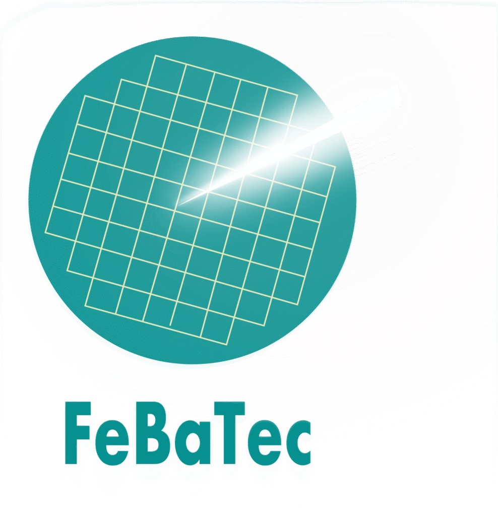 FeBaTec Consulting Logo und Welle mit Hand